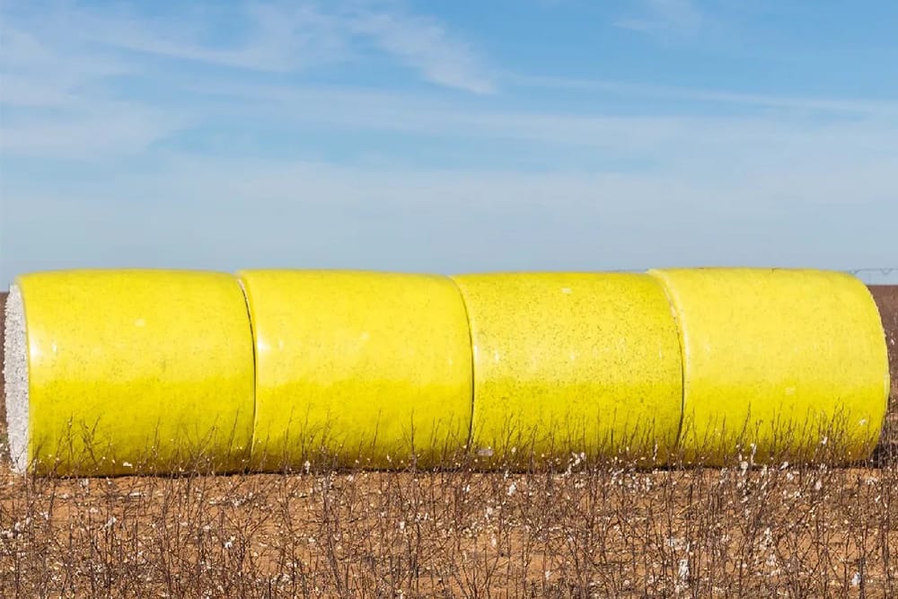 US upland cotton sales up 10%, Pima cotton also Shows Growth: USDA report