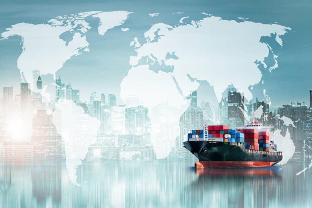 Balancing free global data flows may deliver better results: WTO, OECD