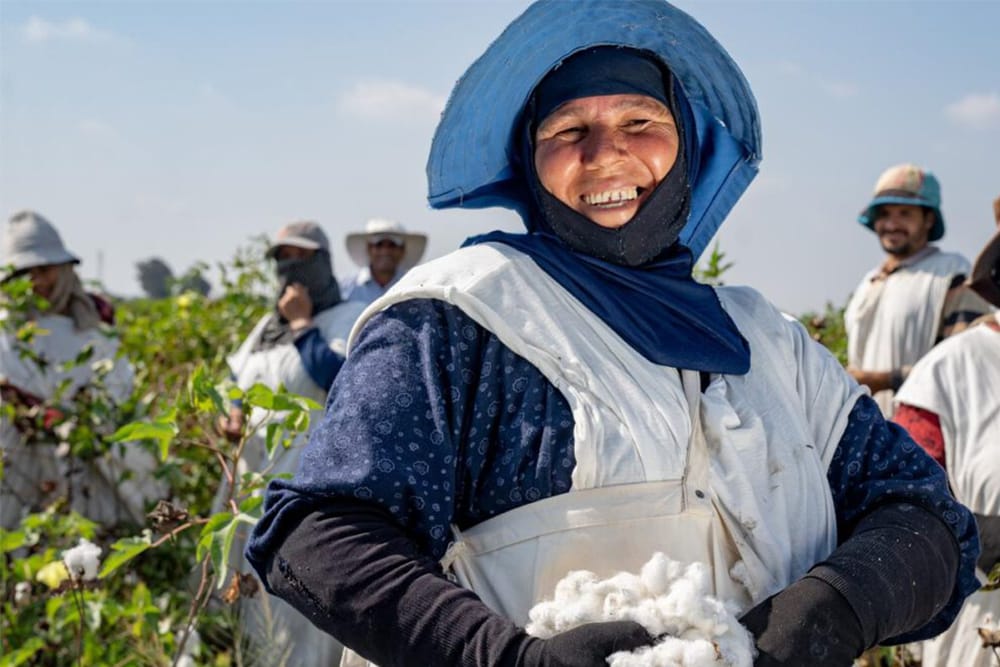 Better Cotton calls for revisions to textile PEF Methodology