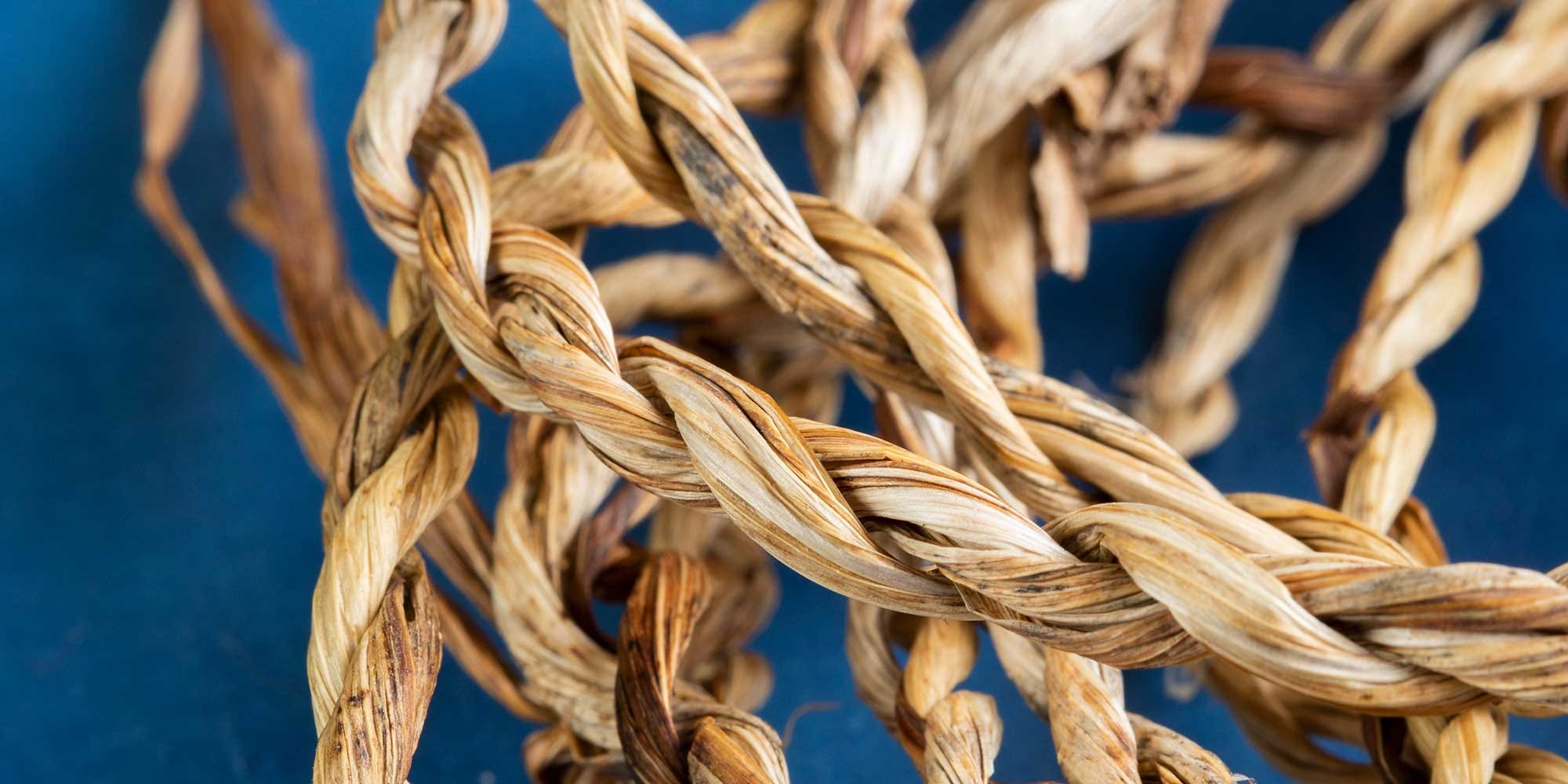 Something from Nothing: Making Cordage from the Garden
