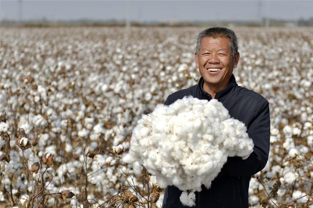 China’s cotton production surges to 6.164 million tonnes in 2024