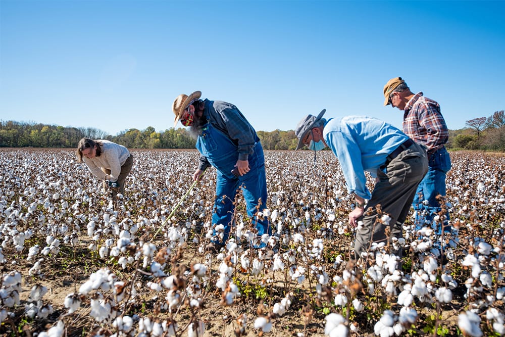 Better Cotton’s 10-year US impact report