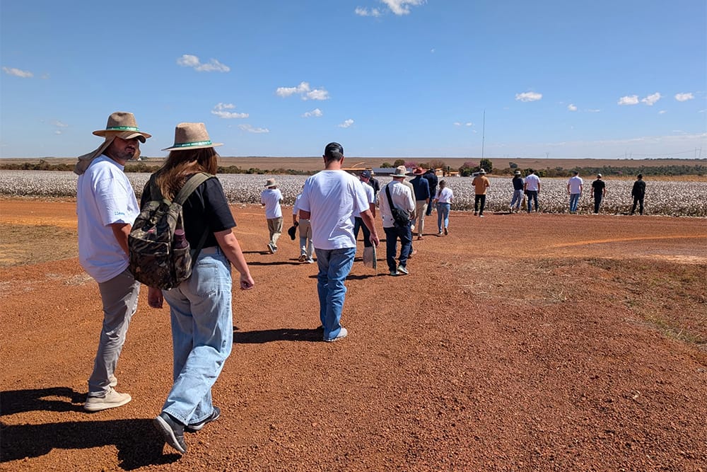 Large Farm Week 2025: Representatives from Better Cotton’s large farm countries come together