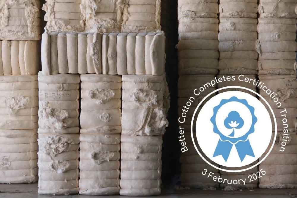 Better Cotton completes certification transition, enhances supply chain oversight