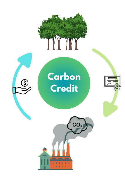 Challenges and Opportunities in Carbon Credit Trading for the Textile Industry