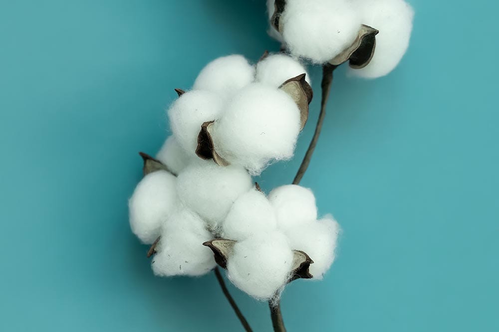 ICE cotton records lowest trading volume, prices slightly lower