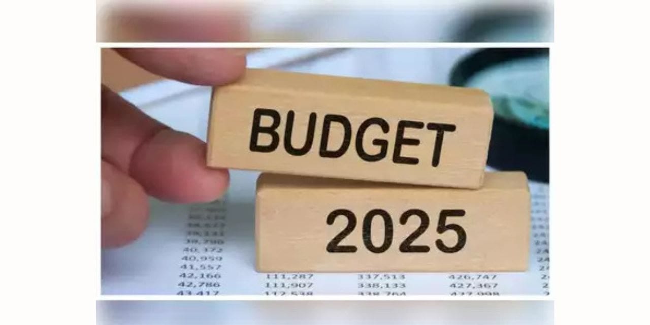Textile Budget 2025: Boost for Industry, Cotton Mission