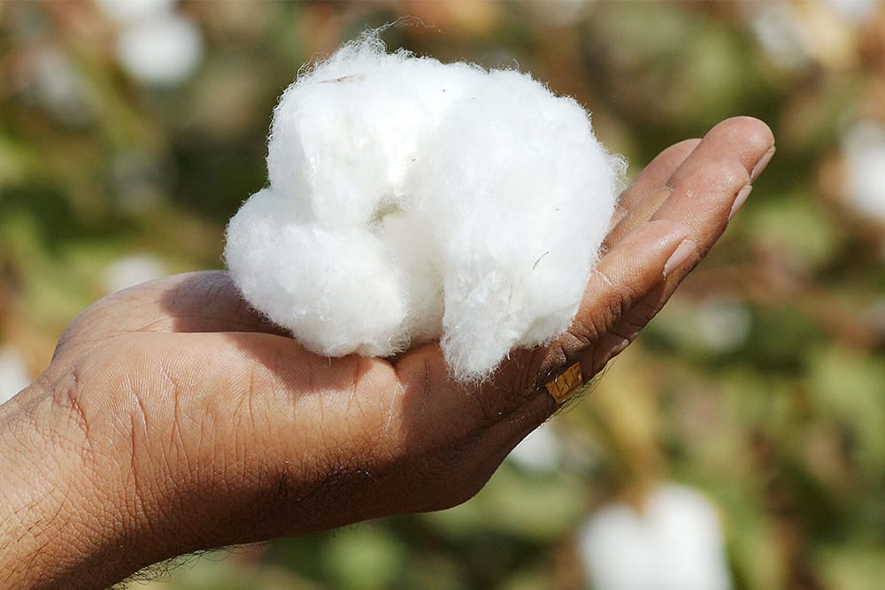 ICAC: Decreasing production and the critical role of traceability