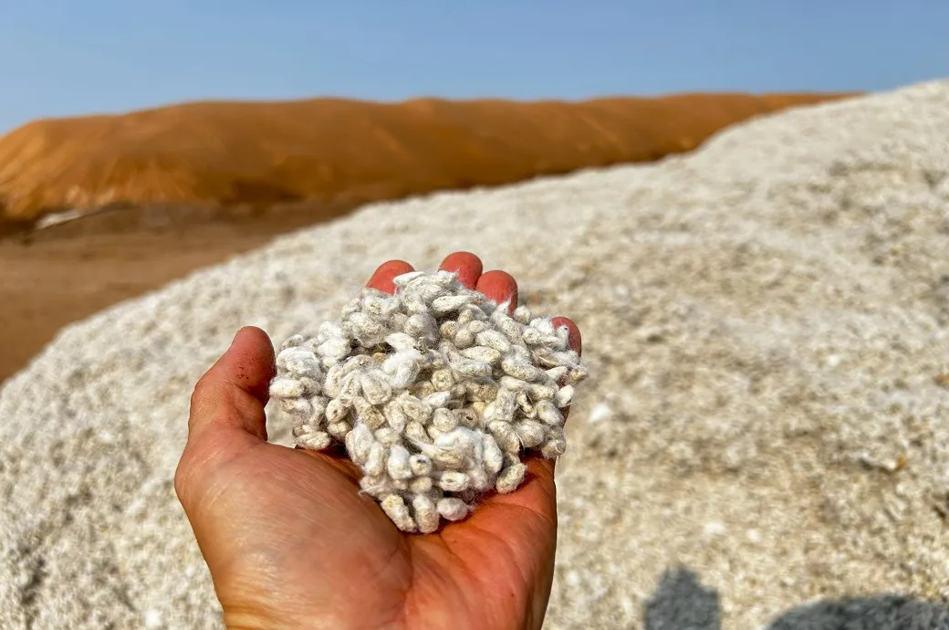 US researchers pioneer eco-friendly cottonseed oil finish to replace harmful chemicals