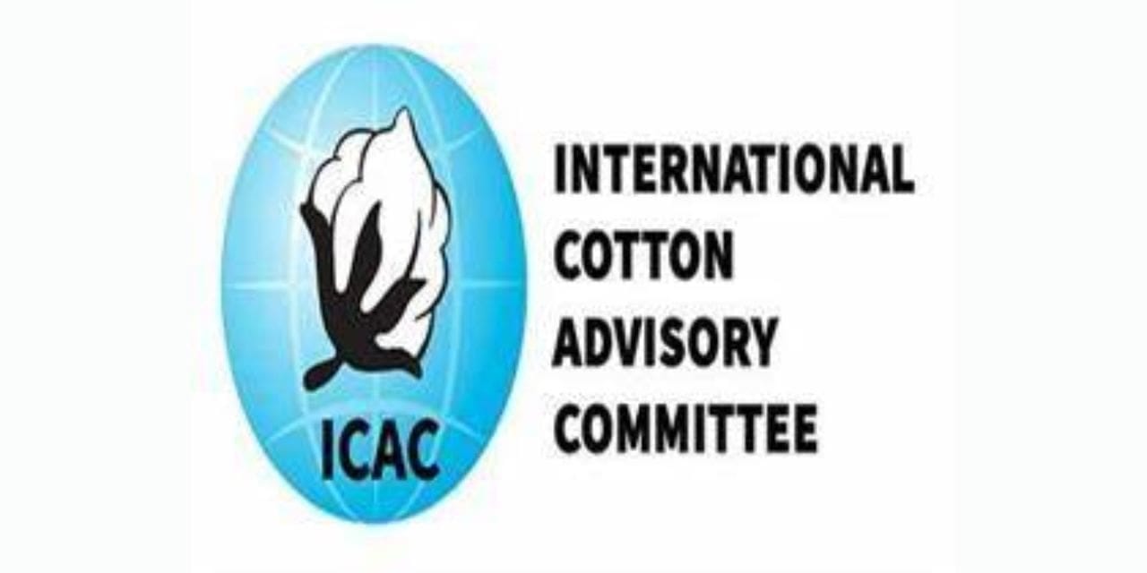 The 82nd Plenary Meeting: Reports from the ICAC Secretariat