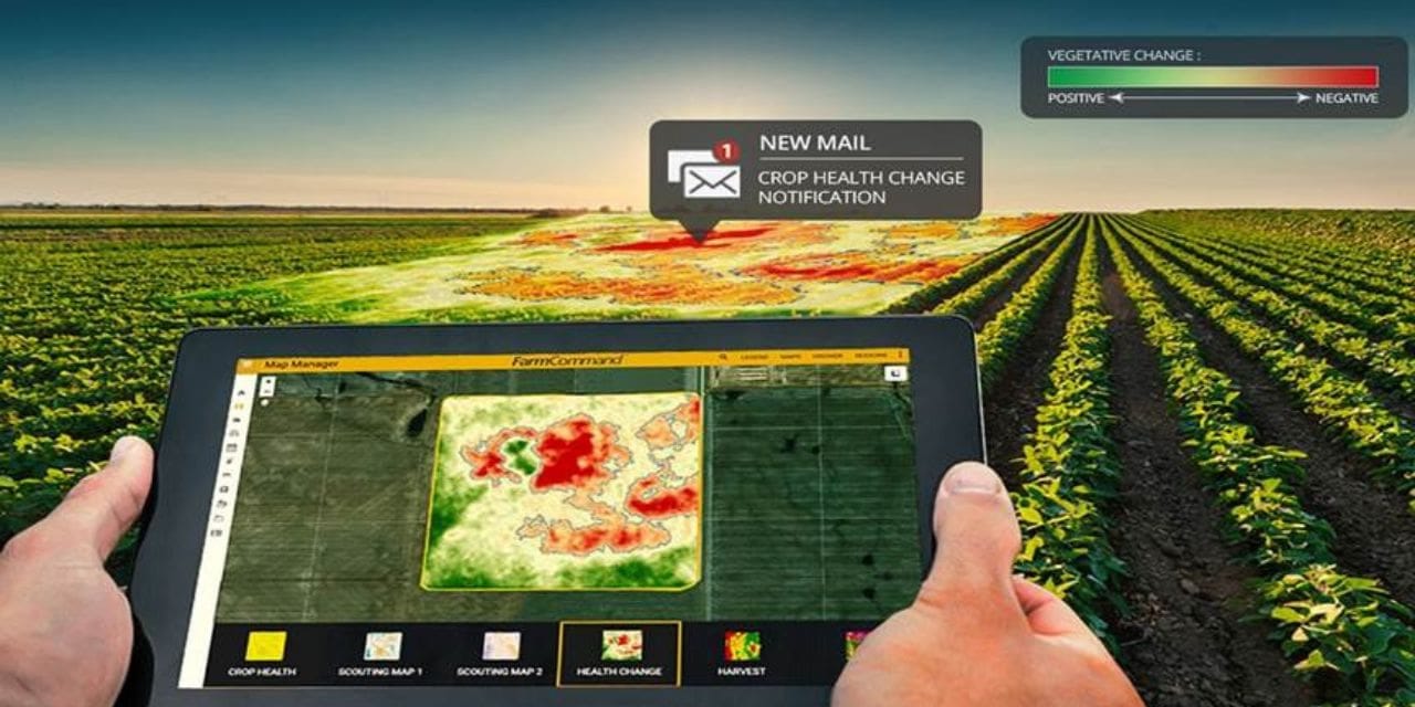 Precision Farming Gets a Boost with Agricultural Mapping Services