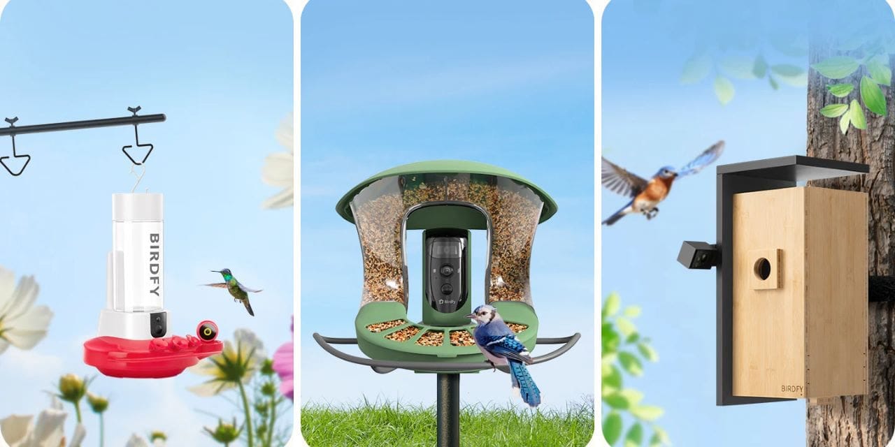 Turn Your Backyard into a Bird Sanctuary with Birdfy